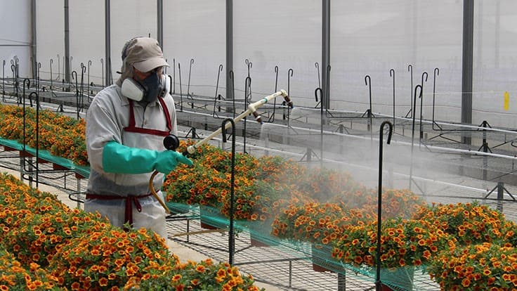 How to integrate biopesticides and manage resistance